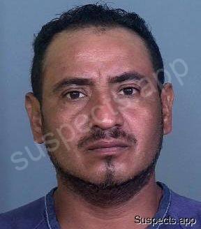 Mendezverbena, Ernesto