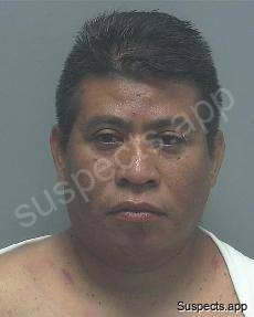 Morales Rojas, Jerver