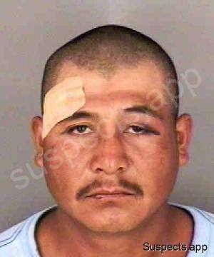 Paulino, Jose