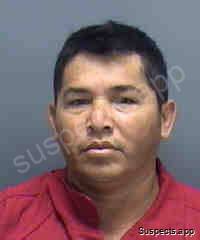Sanchez Hernandez, Jose Luis