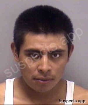 Vicente, Jose