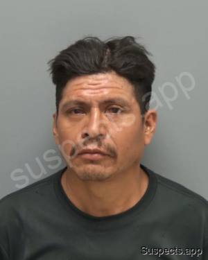 Pacheco, Juan Medina