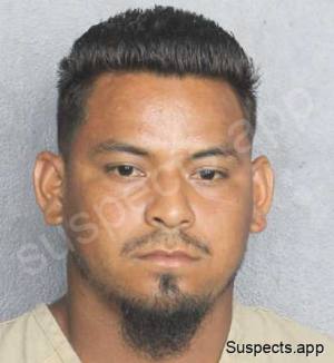 Alvarenga Murillo, Julio Cesar