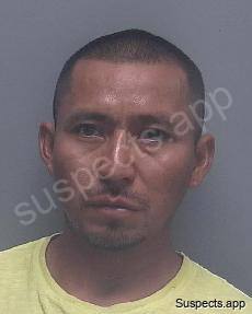 Martin Ramirez, Julio Cesar