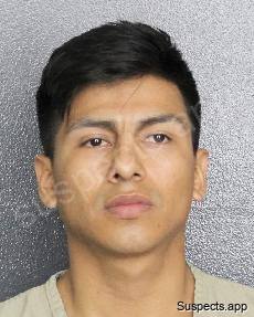 Alverado-salinas, Kevin Jr