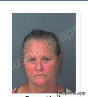 Shearer, Leisa