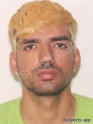 Ramirez, Leonardo Toranzo