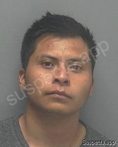 Avendano, Luis