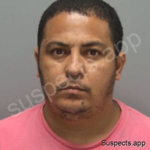 Mendoza Garcia, Luis