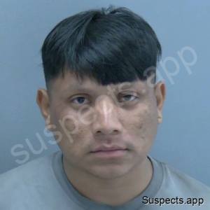 Mejia Santos, Manuel
