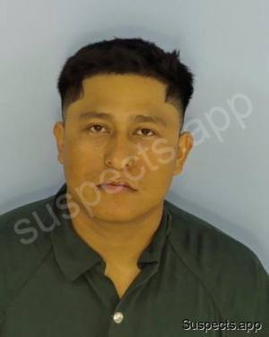 Mendez Mendoza, Manuel