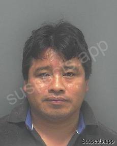 Mendez Domingo, Mario