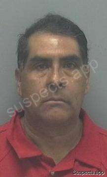 Vela Medina, Mario
