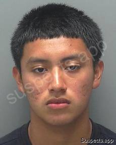 Juan Perez, Mateo