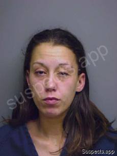 Schmitt, Meghan L