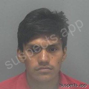 Miguel Jose, Miguel Diego