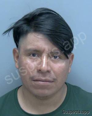 Tum Tzunux, Miguel Angel