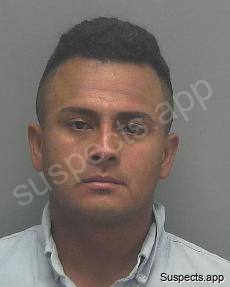 Amador Zelaya, Milton Raul
