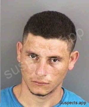 Billedad, Nelson Efrain