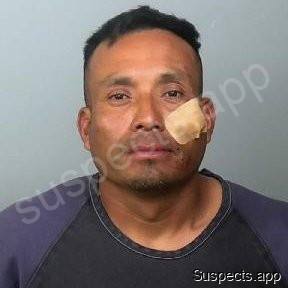 Mejiaramirez, Nelvi