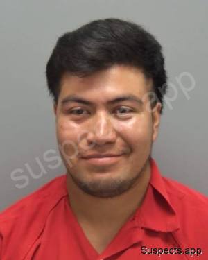 Soto Ramirez, Nestin