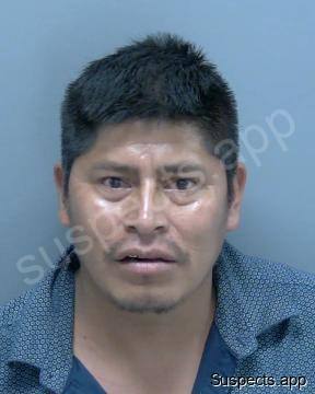 Sarat Ordonez, Nicolas