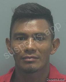 Lobo Castillo, Oscar Joel