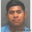 Mendoza, Pedro Domingo