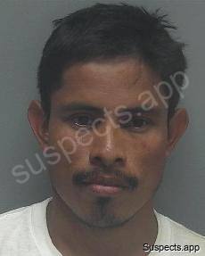 Ozuna Ventura, Pedro