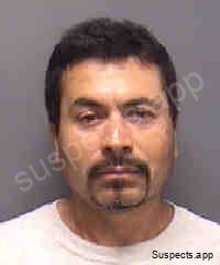 Cedre, Ramon Delgado