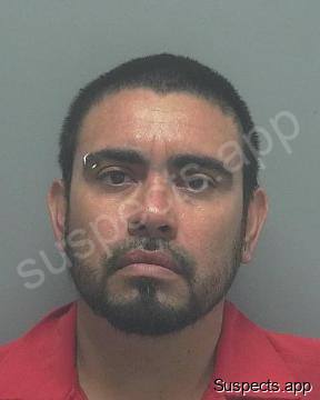 Sandoval, Ricardo Rosales