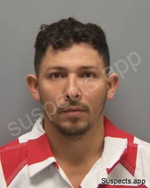 Vallecillo Arauz, Ricardo Jose