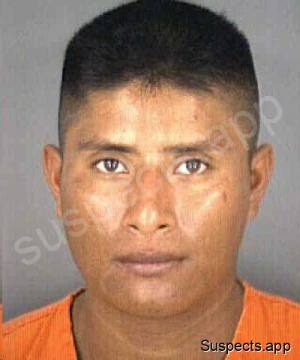 Tobar, Rigo