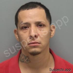 Flores, Ryan Michael