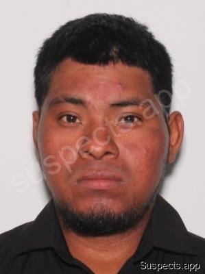 Jimenez Morales, Sebastian