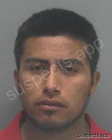 Sebastian Felipe, Sebastian Felipe