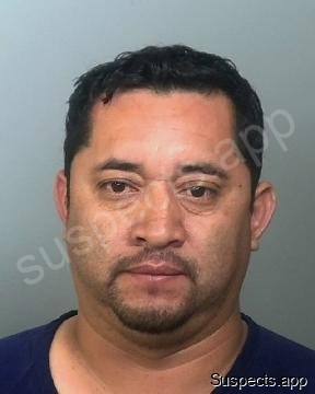 Lopezpojoy, Sender Roel