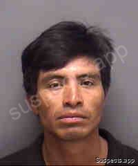 Nunez, Tony