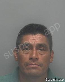 Pop-chub, Vicente