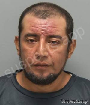Mendoza Garcia, Wanderlim Geovanny