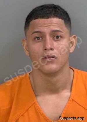 Torunovelasquez, Wilmer